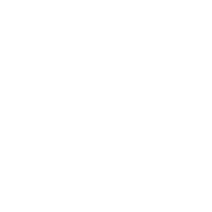 McLaren logo