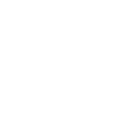 Williams logo