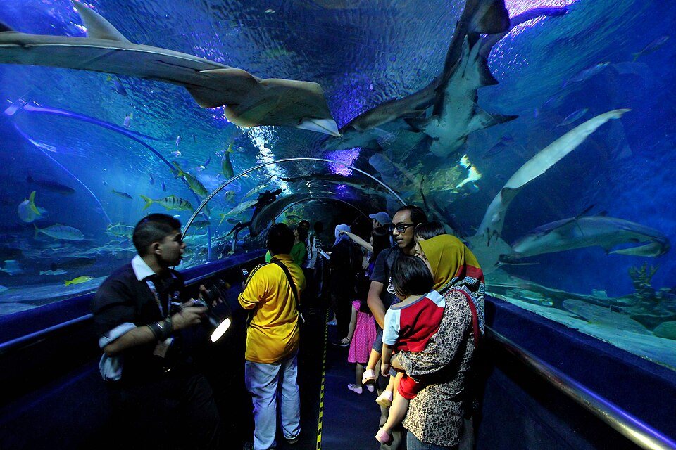 The underwater tunnel at Aquaria KLCC.