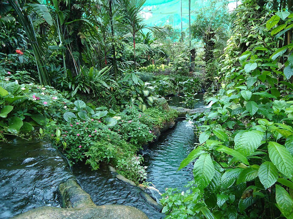 Greenery and walkways inside Kuala Lumpur Butterfly Park.