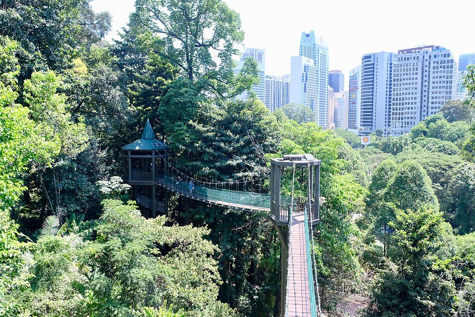 A suspended canopy walkway in KL Forest Eco Park.
