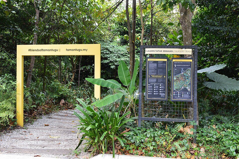 A forest walking path on the Nursery Trail at Taman Tugu.